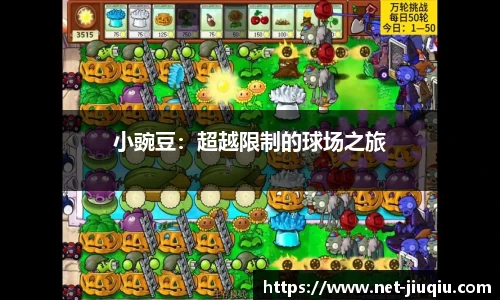 小豌豆：超越限制的球场之旅